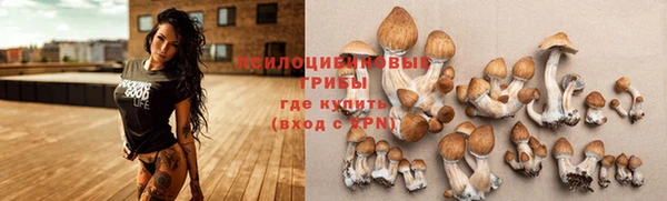винт Переславль-Залесский