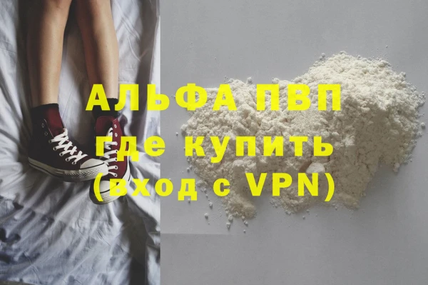 твердый Абаза