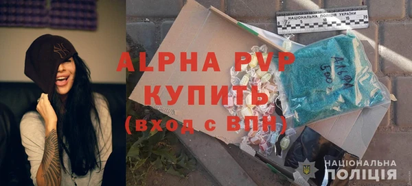 прущие грибы Пестово