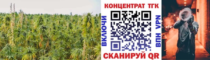 ТГК гашишное масло  Починок 
